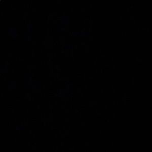 Meet your Posher, Brendan